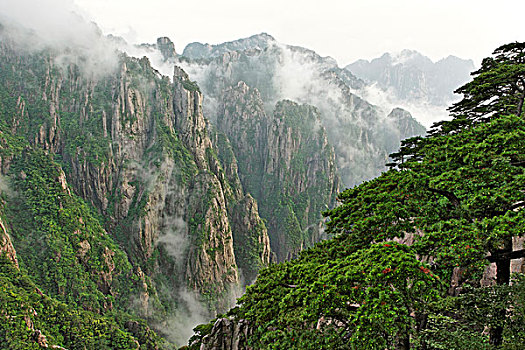 水里放什么能快速昏睡C1B8D97C5-18975